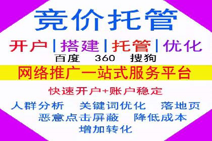SEM托管服务案例：打造全方位营销解决方案